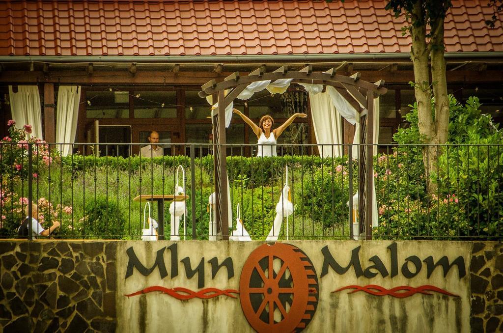 Mlyn Penzion & Wellness Radvaň nad Dunajom المظهر الخارجي الصورة